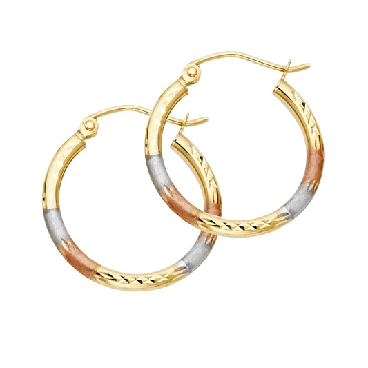 Hoop Earrings  - 14K Gold - ER567