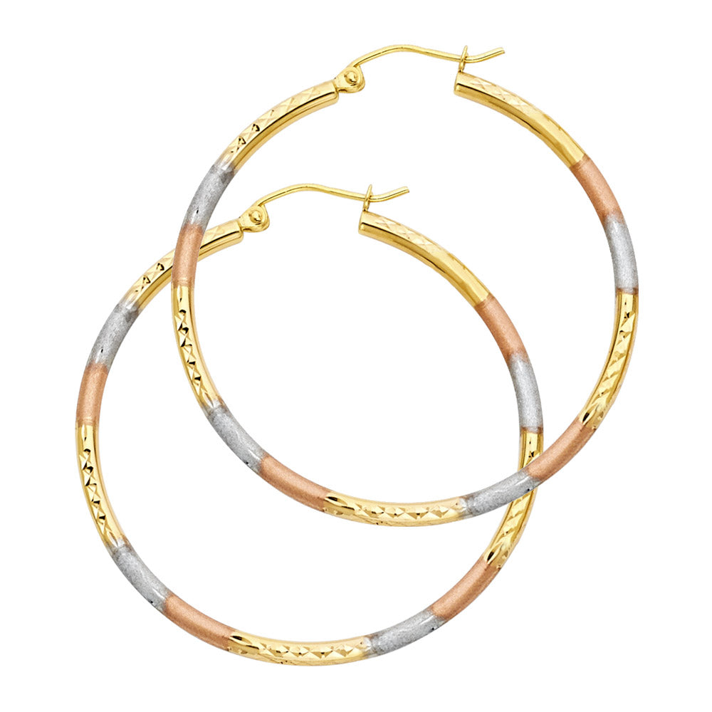 Hoop Earrings  - 14K Gold - ER570