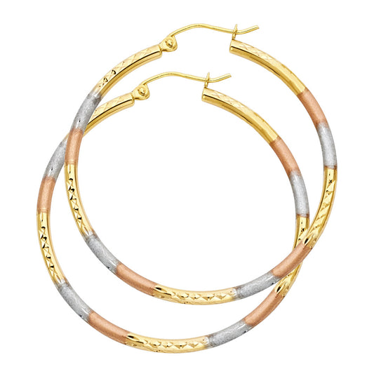 Hoop Earrings  - 14K Gold - ER571